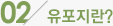02 유포지란?